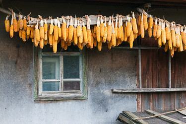 Similar image 842182