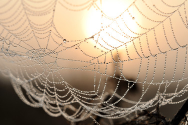 Similar image 842201