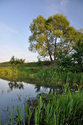 Similar image 842243