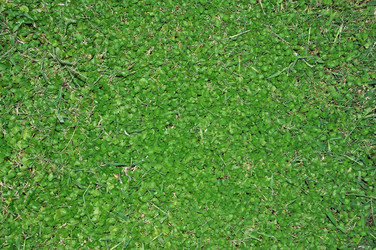 Similar image 842246