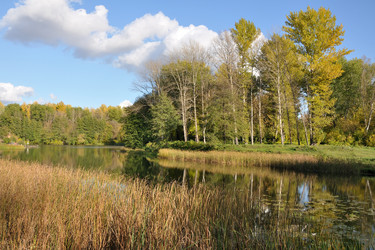 Similar image 842248