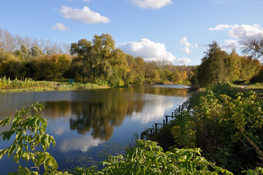 Similar image 842251