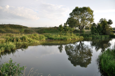 Similar image 842254