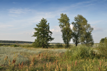 Similar image 842291