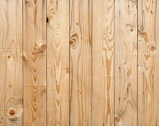 Similar image 842348