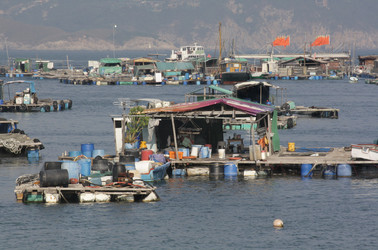 Similar image 842385