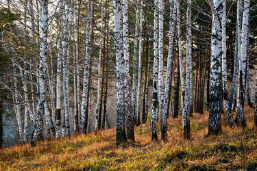 Similar image 842450