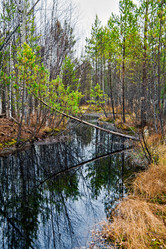 Similar image 842451