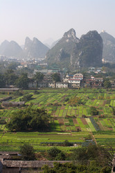 Similar image 842453