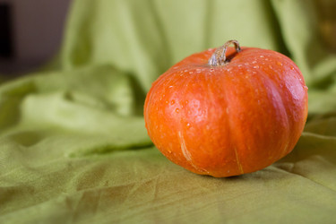 Similar image 842458