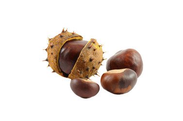 Similar image 842507