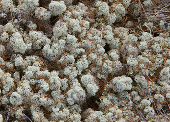 Similar image 842535