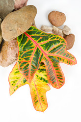 Similar image 842571