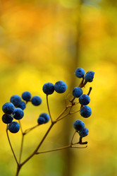 Similar image 842697