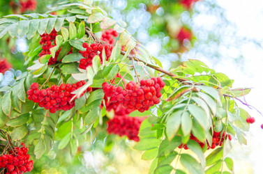 Similar image 842701