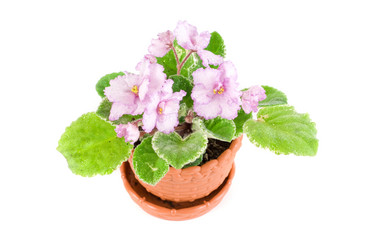 Similar image 842722