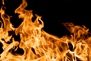 Similar image 842800