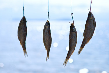 Similar image 842856