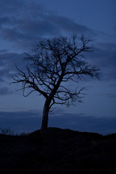 Similar image 842867