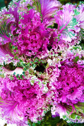 Similar image 842937