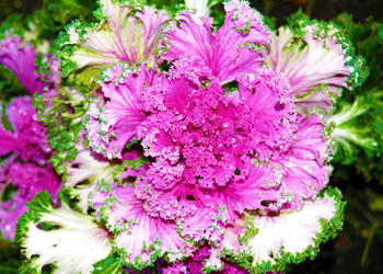 Similar image 842938