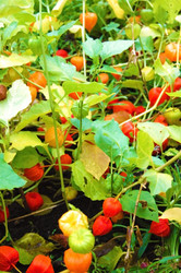 Similar image 842946