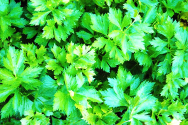 Similar image 842948