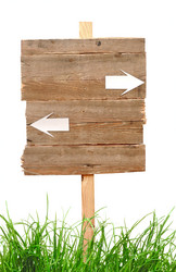 Similar image 843026