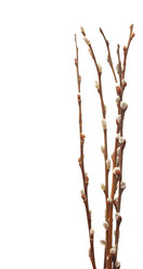 Similar image 843056