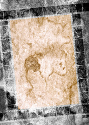 Similar image 843080