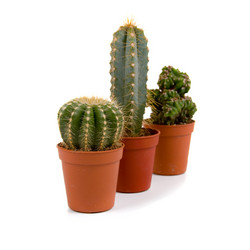 Similar image 843181