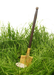 Similar image 843226