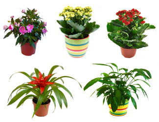 Similar image 843249