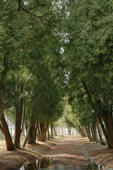 Similar image 843257