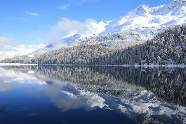 Similar image 843294