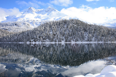 Similar image 843295