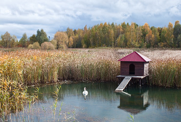 Similar image 843306