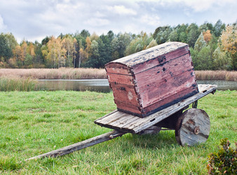 Similar image 843314