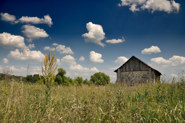 Similar image 843316