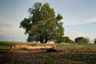 Similar image 843326