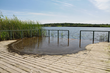 Similar image 843339