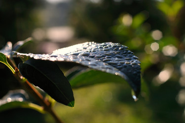 Similar image 843350