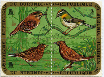 Similar image 843377