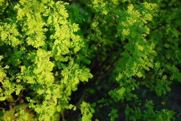 Similar image 843378