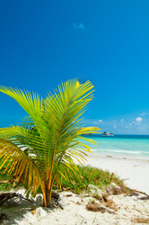 Similar image 843381