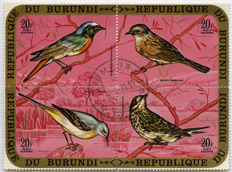 Similar image 843382