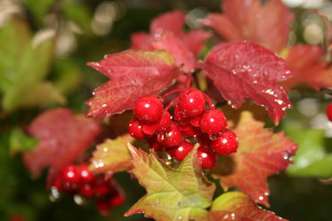 Similar image 843416