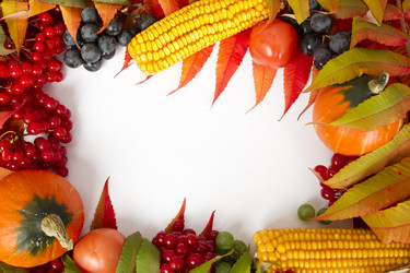 Similar image 843433