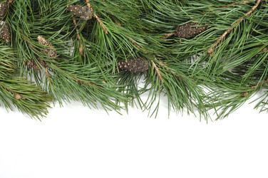 Similar image 843485