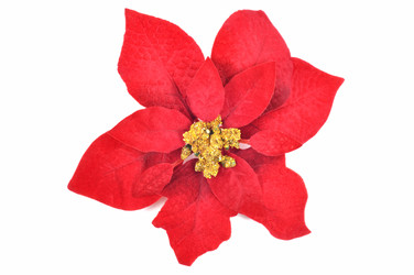 Similar image 843495